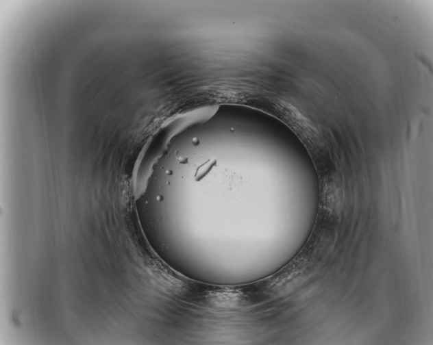 X0000097510318200802291624