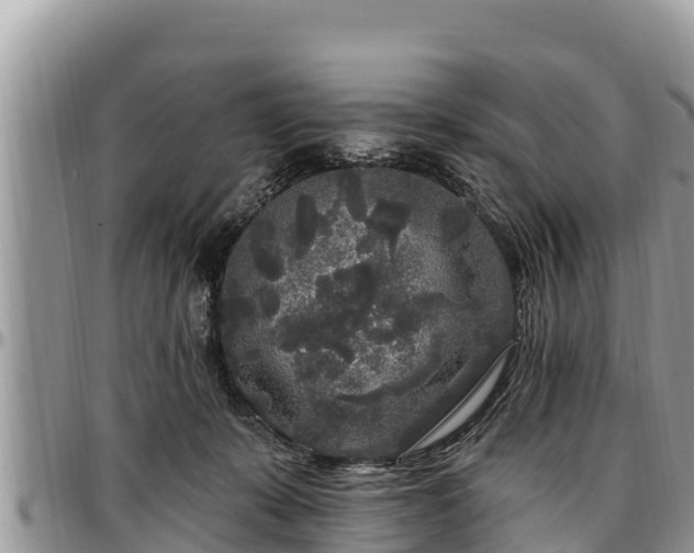 X0000097510319200802291624