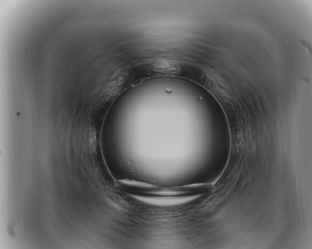 X0000097510320200802291624