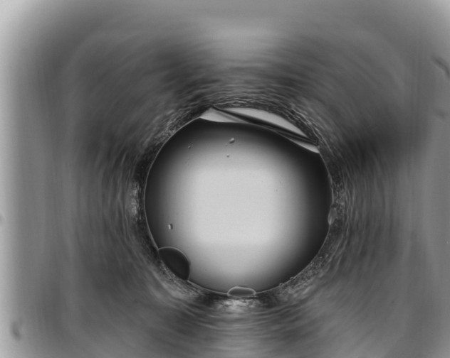 X0000097510323200802291624