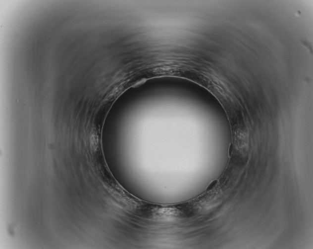 X0000097510324200802291624