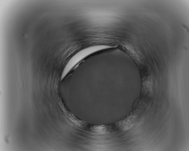 X0000097510325200802291624