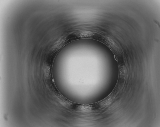 X0000097510327200802291624