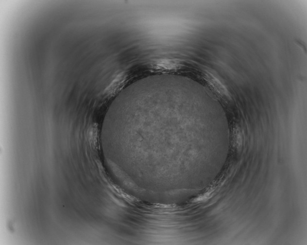 X0000097510328200802291624