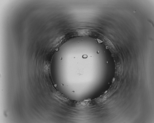 X0000097510329200802291624