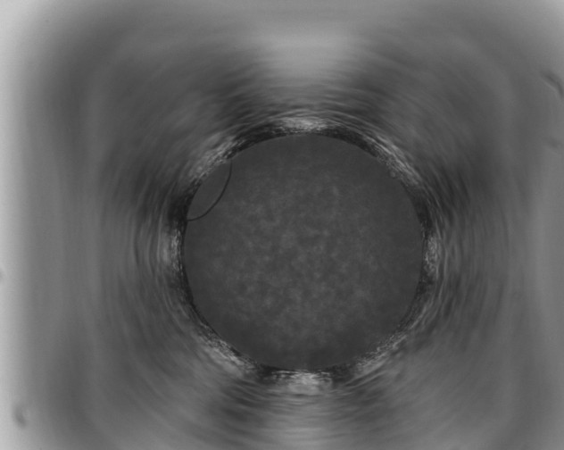 X0000097510330200802291624