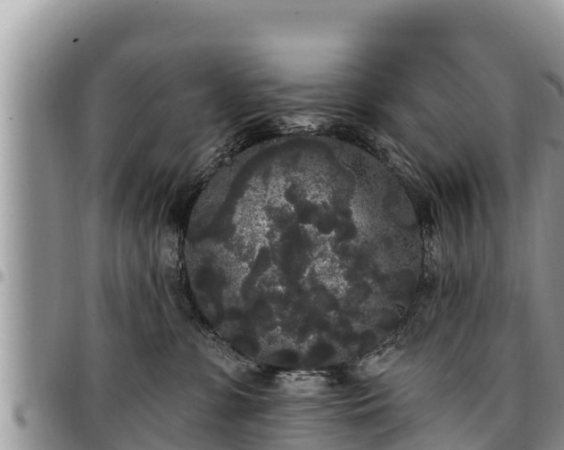 X0000097510331200802291624