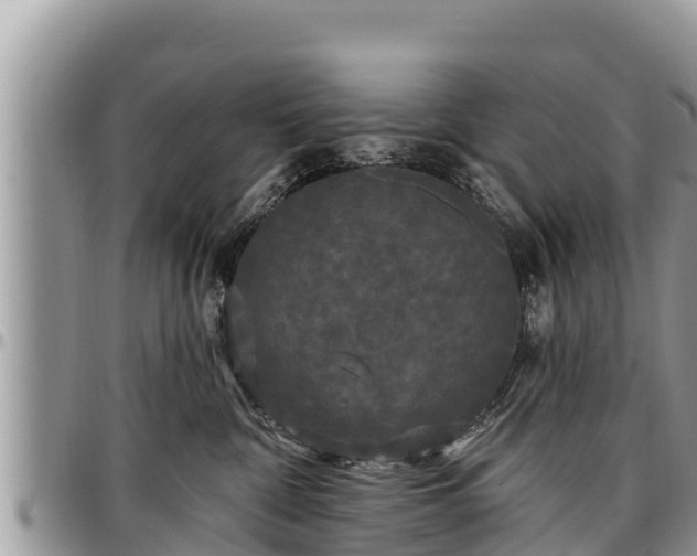 X0000097510332200802291624