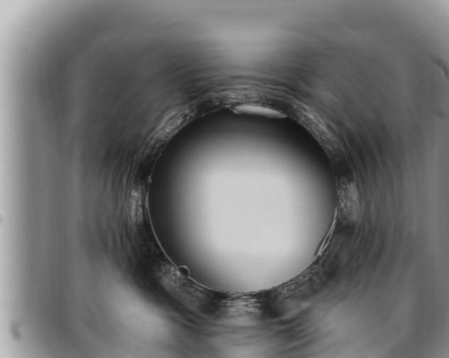 X0000097510333200802291624