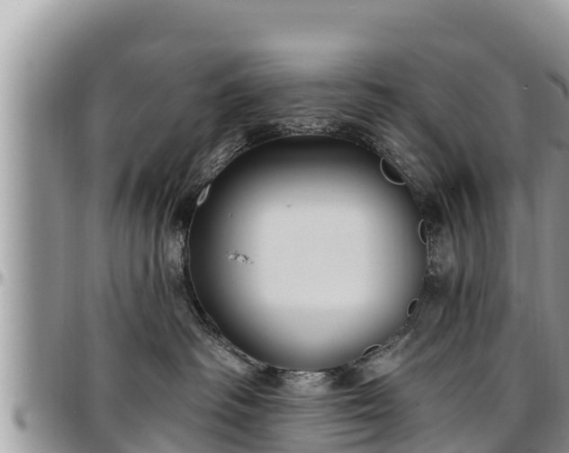 X0000097510334200802291624