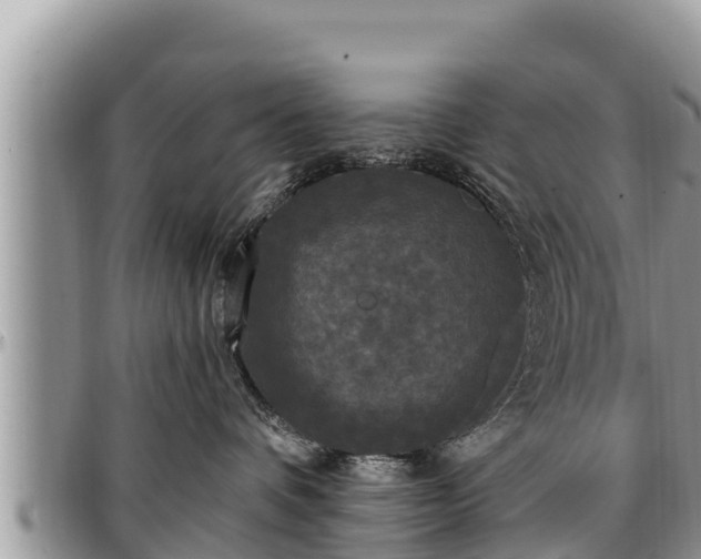 X0000097510336200802291624