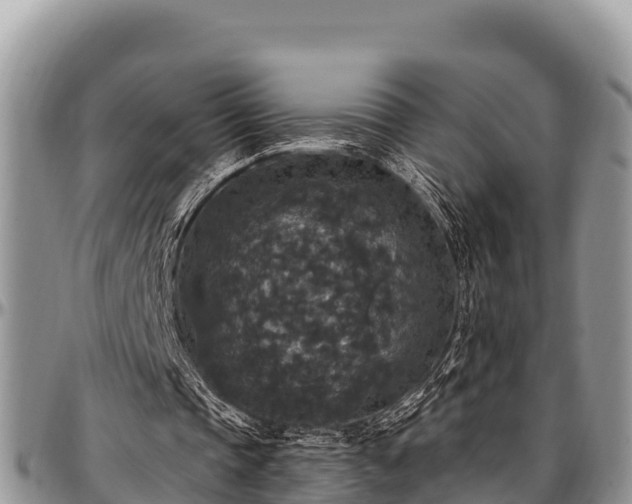 X0000097510337200802291623