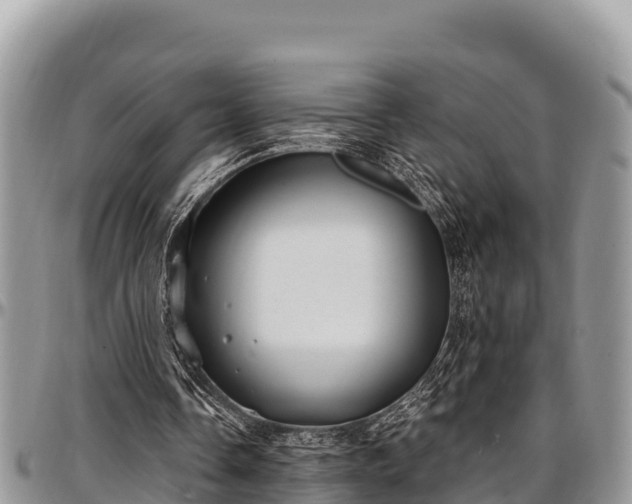 X0000097510338200802291623