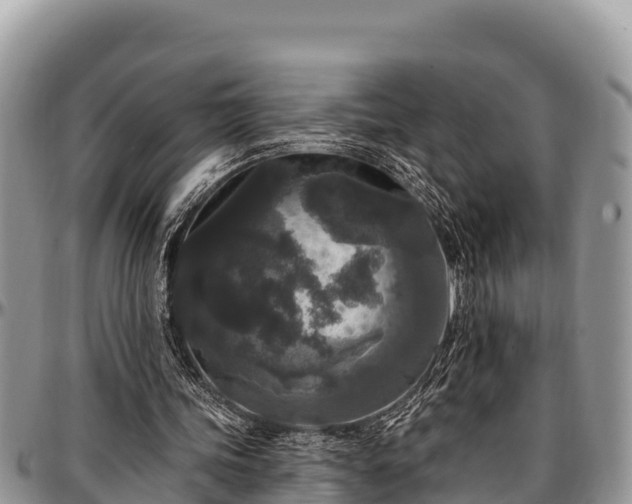 X0000097510339200802291623