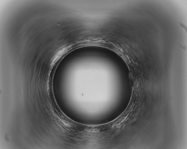 X0000097510340200802291623