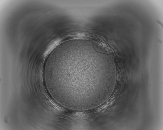 X0000097510341200802291623