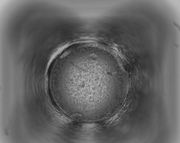 X0000097510342200802291623