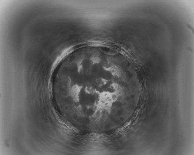 X0000097510343200802291623