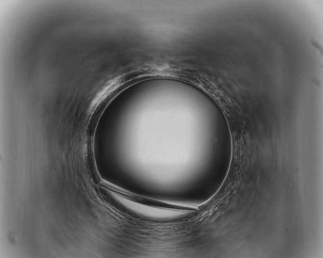 X0000097510344200802291623