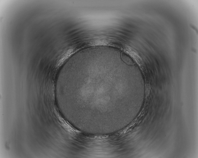 X0000097510345200802291623