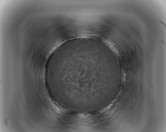 X0000097510346200802291623