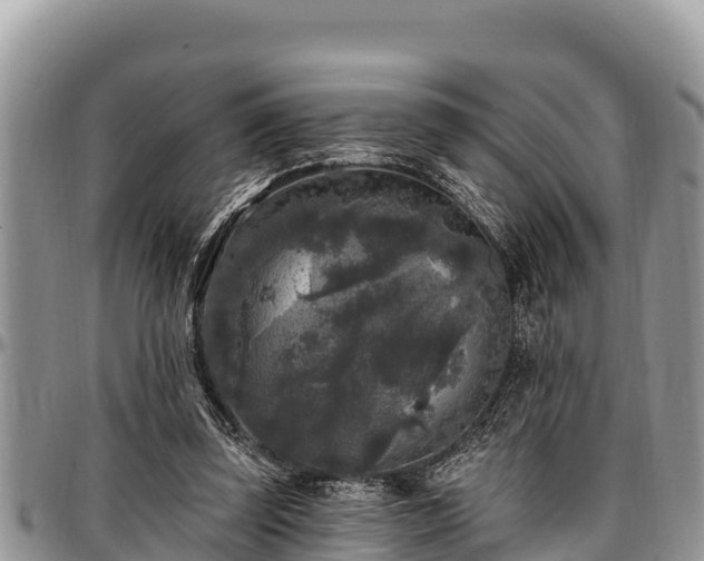 X0000097510347200802291623