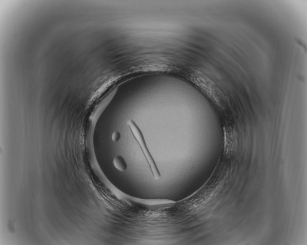 X0000097510348200802291623