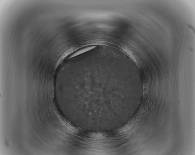 X0000097510349200802291623