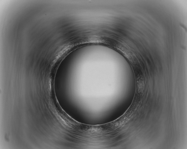 X0000097510350200802291623