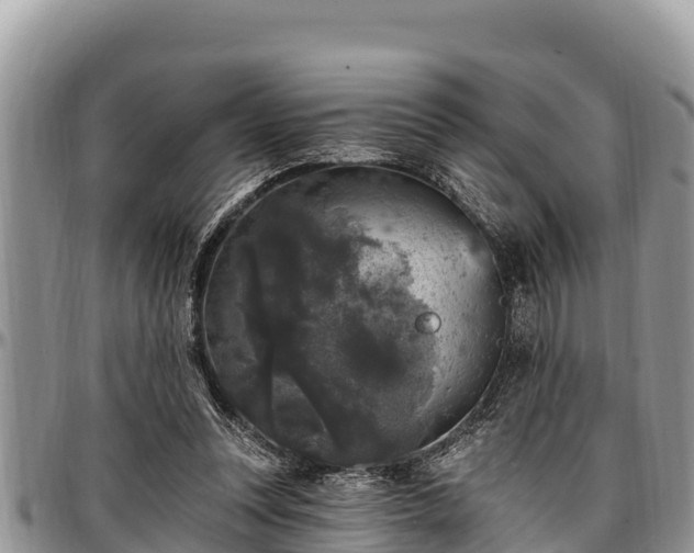 X0000097510351200802291623