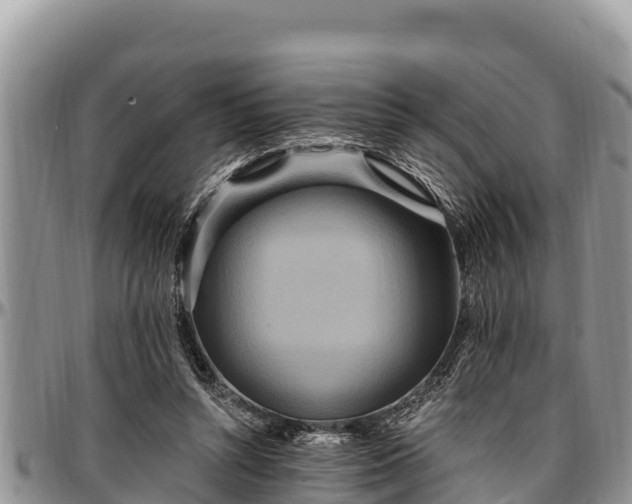 X0000097510352200802291623