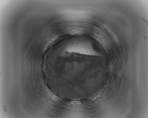 X0000097510353200802291623