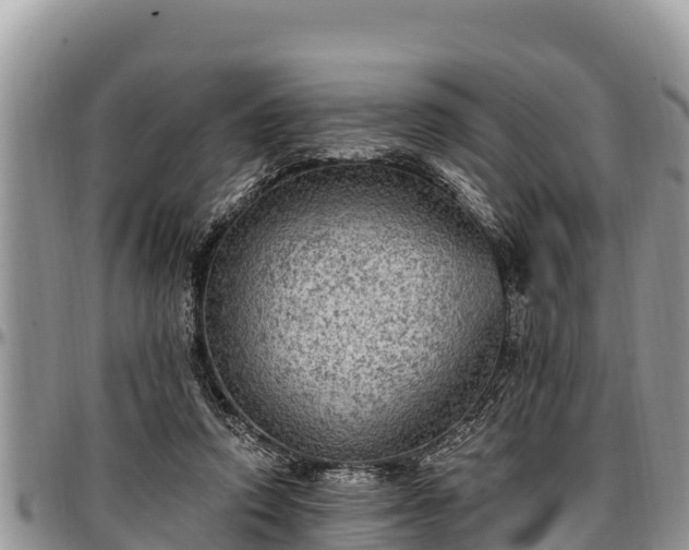 X0000097510354200802291623