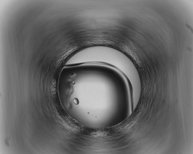 X0000097510356200802291623