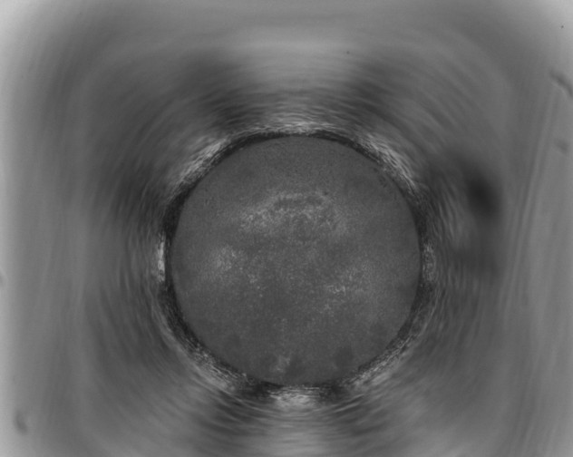 X0000097510358200802291623