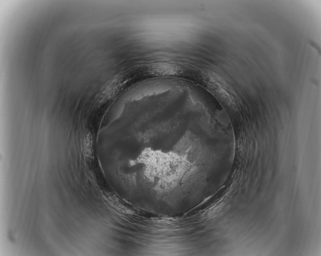 X0000097510359200802291623