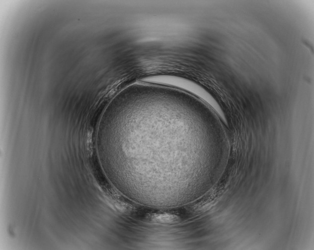 X0000097510360200802291623