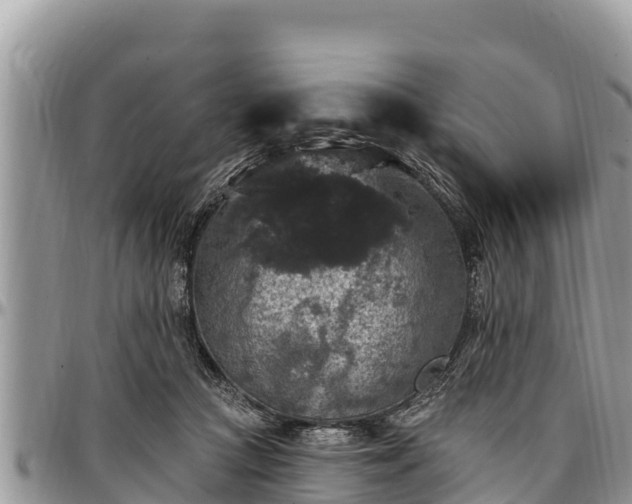 X0000097510361200802291623