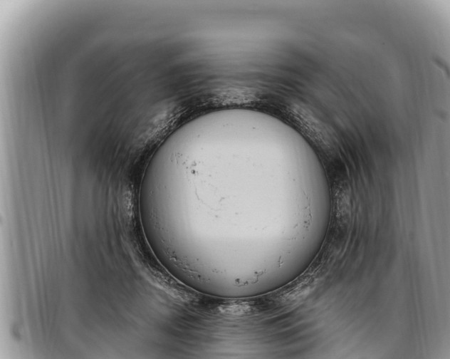 X0000097510362200802291623