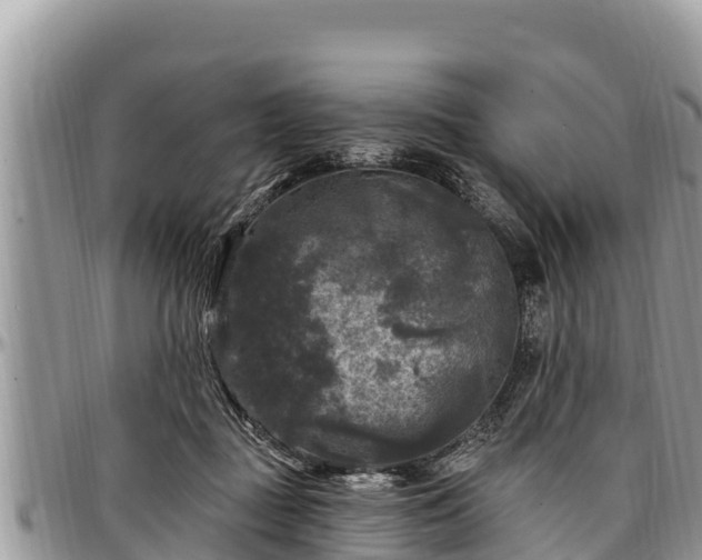 X0000097510363200802291623