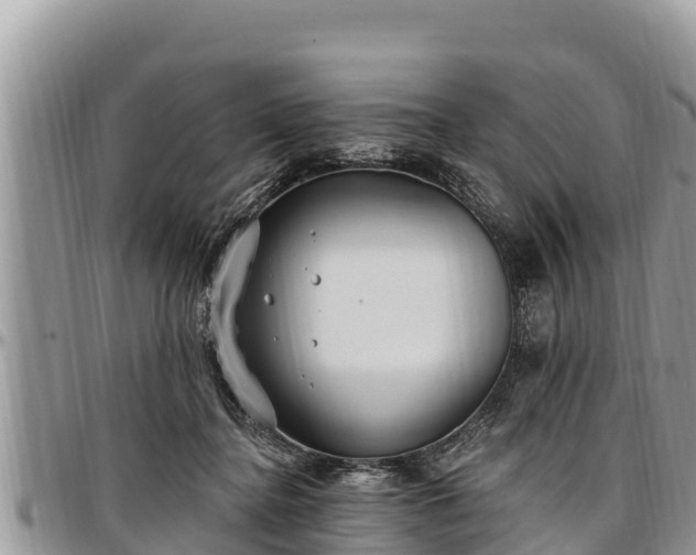 X0000097510364200802291623