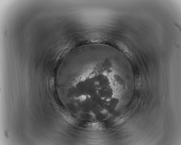 X0000097510365200802291623