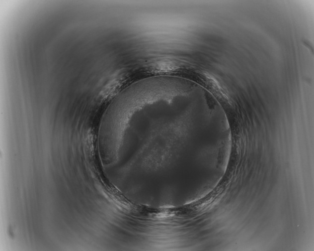 X0000097510366200802291623