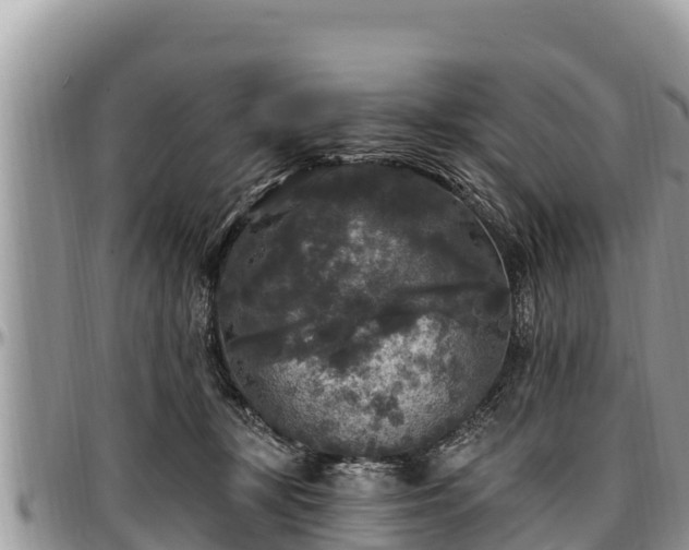 X0000097510367200802291623