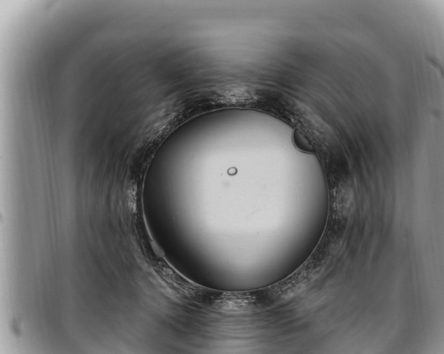 X0000097510368200802291623