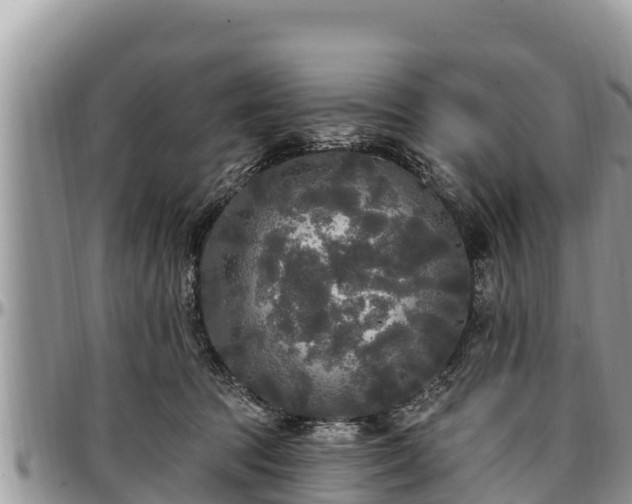 X0000097510369200802291623