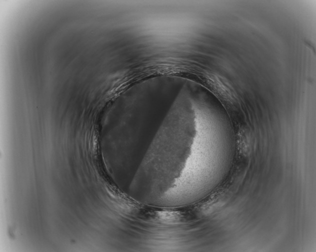 X0000097510371200802291623