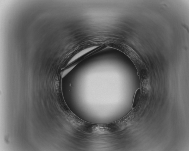 X0000097510372200802291623