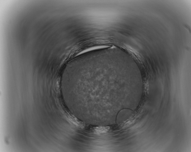 X0000097510373200802291623