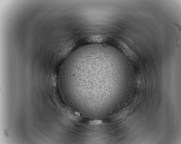 X0000097510374200802291623